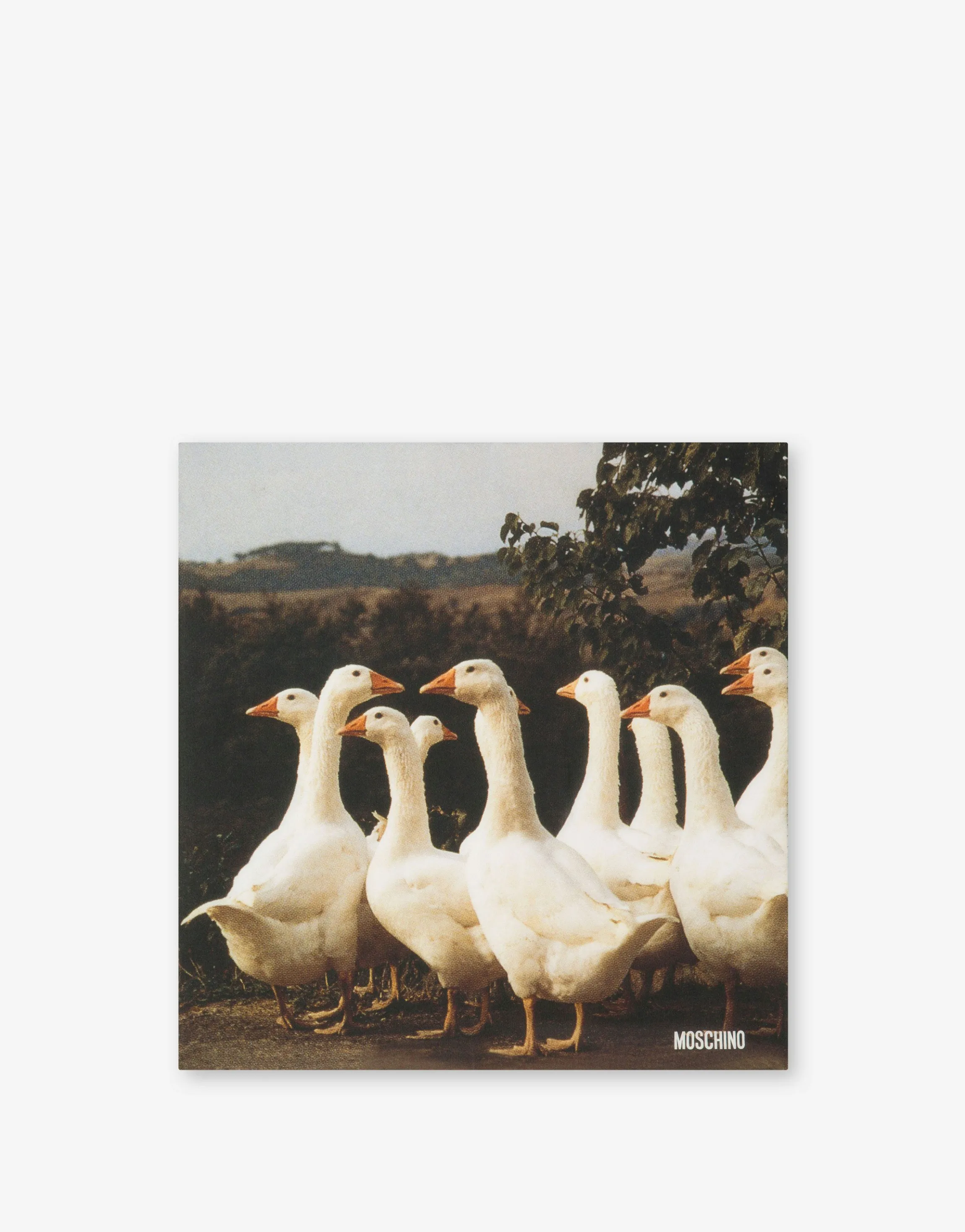 Goose Print Silk Scarf